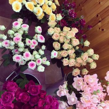 Rose✿✿✿｜「高野生花店」　（栃木県那須烏山市の花キューピット加盟店 花屋）のブログ